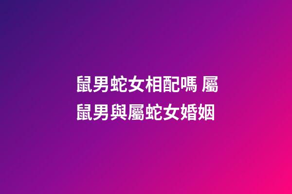 鼠男蛇女相配嗎 屬鼠男與屬蛇女婚姻-第1張-觀點-玄機派